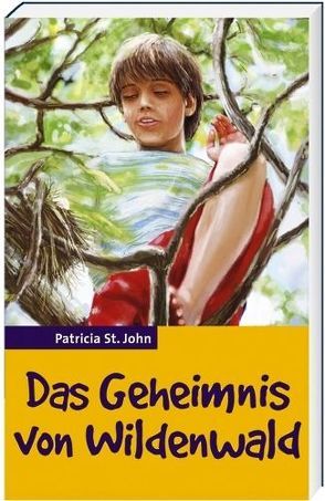 Das Geheimnis von Wildenwald von St. John,  Patricia