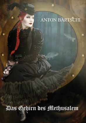 Das Gehirn des Methusalem von Bärtschi,  Anton