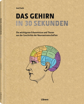 Das Gehirn in 30 Sekunden von Seth,  Anil