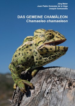 Das Gemeine Chamäleon von Meier,  Jürg