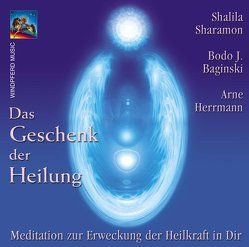 Das Geschenk der Heilung von Baginski,  Bodo J, Herrmann,  Arne, Sharamon,  Shalila