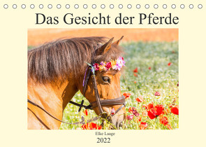 Das Gesicht der Pferde (Tischkalender 2022 DIN A5 quer) von Laage,  Elke