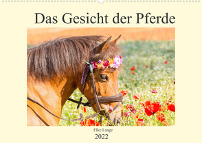 Das Gesicht der Pferde (Wandkalender 2022 DIN A2 quer) von Laage,  Elke