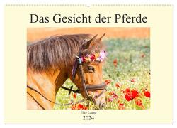 Das Gesicht der Pferde (Wandkalender 2024 DIN A2 quer), CALVENDO Monatskalender von Laage,  Elke