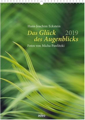 Das Glück des Augenblicks 2019 – Wandkalender von Eckstein,  Hans-Joachim, Pawlitzki,  Micha