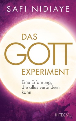 Das Gott-Experiment von Nidiaye,  Safi