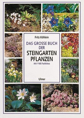 Das große Buch der Steingartenpflanzen von Köhlein,  Fritz