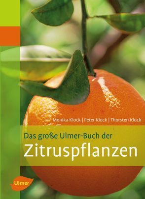 Das große Ulmer-Buch der Zitruspflanzen von Klock,  Peter