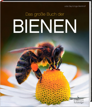 Das große Buch der Bienen von Gay,  Jutta, Menkhoff,  Inga