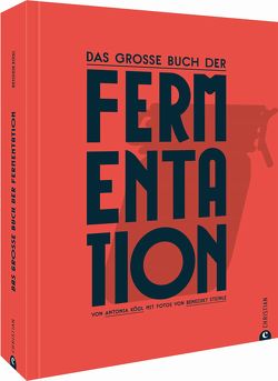 Das große Buch der Fermentation von Kögl,  Antonia, Kögl,  Benedikt