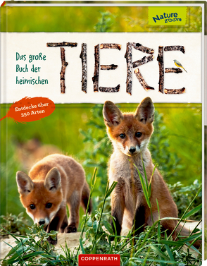 Das große Buch der heimischen Tiere von Baier,  Katja, Haag,  Holger, Koh,  Yousun, Oftring,  Bärbel, Rohrbeck,  Manfred