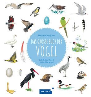 Das große Buch der Vögel von Gueyfier,  Judith, Norwood,  Julien, Panzacchi,  Cornelia, Tordjman,  Nathalie