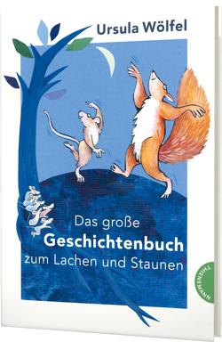 Das große Geschichtenbuch zum Lachen und Staunen von Wölfel,  Bettina, Wölfel,  Ursula