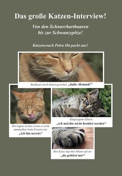 Das große Katzen-Interview! von Ott,  Petra