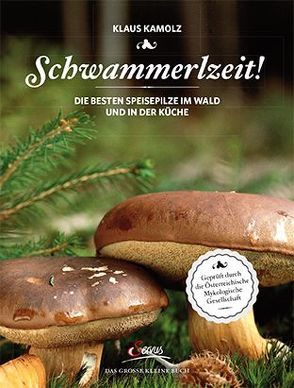 Das große kleine Buch: Schwammerlzeit! von Kamolz,  Klaus