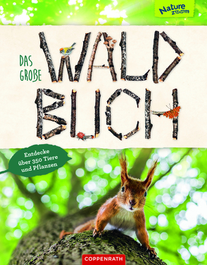 Das große Waldbuch von Ebert,  Anne, Haag,  Holger, Henkel,  Christine, Koh,  Yousun, Oftring,  Bärbel, Rohrbeck,  Manfred