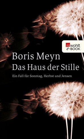 Das Haus der Stille von Meyn,  Boris