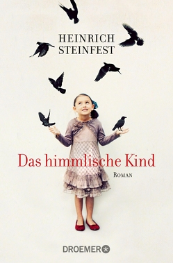 Das himmlische Kind von Steinfest,  Heinrich