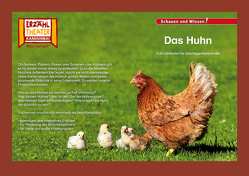 Das Huhn / Kamishibai Bildkarten