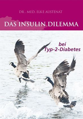 Das Insulin Dilemma