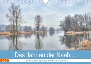 Das Jahr an der Naab zwischen Burglengenfeld und Kallmünz (Wandkalender 2021 DIN A4 quer) von Rinner,  Rudolf