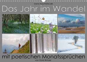 Das Jahr im Wandel – mit poetischen Monatssprüchen (Wandkalender 2023 DIN A3 quer) von Watzinger,  Max