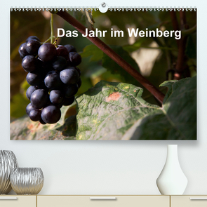 Das Jahr im Weinberg (Premium, hochwertiger DIN A2 Wandkalender 2021, Kunstdruck in Hochglanz) von Baumert,  Frank