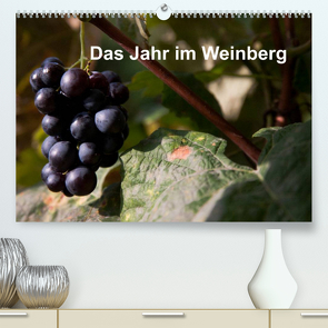 Das Jahr im Weinberg (Premium, hochwertiger DIN A2 Wandkalender 2023, Kunstdruck in Hochglanz) von Baumert,  Frank