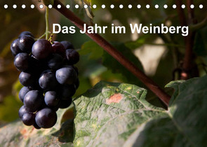 Das Jahr im Weinberg (Tischkalender 2022 DIN A5 quer) von Baumert,  Frank