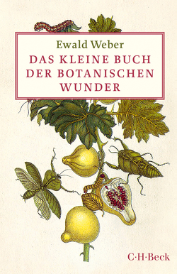 Das kleine Buch der botanischen Wunder von Schadwinkel,  Sonia, Weber,  Ewald