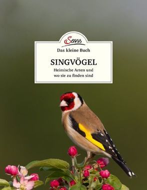 Das kleine Buch: Singvögel von Kamolz,  Klaus