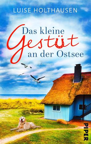 Das kleine Gestüt an der Ostsee von Holthausen,  Luise