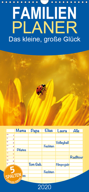 Das kleine, große Glück – Familienplaner hoch (Wandkalender 2020 , 21 cm x 45 cm, hoch) von Hultsch,  Heike