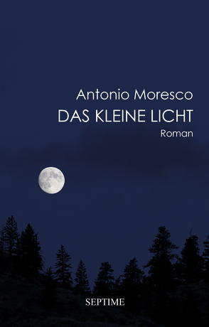 Das kleine Licht von Moresco,  Antonio, Schneider,  Sabine