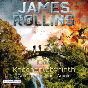 Das Knochenlabyrinth von Arnold,  Frank, Rollins,  James, Stöbe,  Norbert