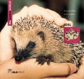 Das kreative Sachbuch „Igel“ von Latorre,  Sabine, Naber,  Annerose