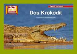 Das Krokodil / Kamishibai Bildkarten