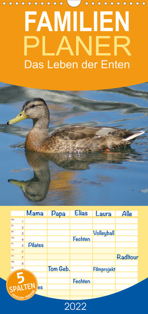 Das Leben der Enten – Familienplaner hoch (Wandkalender 2022 , 21 cm x 45 cm, hoch) von kattobello