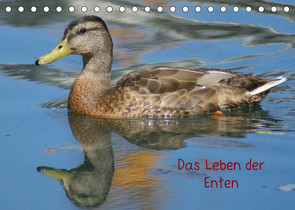 Das Leben der Enten (Tischkalender 2023 DIN A5 quer) von kattobello