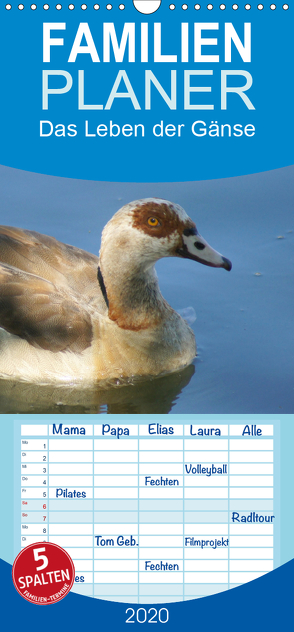 Das Leben der Gänse – Familienplaner hoch (Wandkalender 2020 , 21 cm x 45 cm, hoch) von kattobello