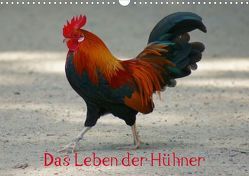 Das Leben der Hühner (Posterbuch DIN A4 quer) von Kattobello,  k.A.