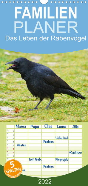 Familienplaner Das Leben der Rabenvögel (Wandkalender 2022 , 21 cm x 45 cm, hoch) von kattobello