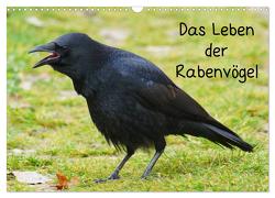 Das Leben der Rabenvögel (Wandkalender 2024 DIN A3 quer), CALVENDO Monatskalender von Kattobello,  Kattobello