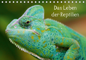 Das Leben der Reptilien (Tischkalender 2020 DIN A5 quer) von kattobello