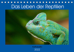 Das Leben der Reptilien (Tischkalender 2022 DIN A5 quer) von kattobello