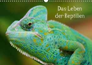 Das Leben der Reptilien (Wandkalender 2020 DIN A3 quer) von kattobello