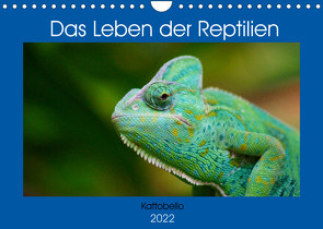 Das Leben der Reptilien (Wandkalender 2022 DIN A4 quer) von kattobello