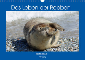 Das Leben der Robben (Wandkalender 2023 DIN A3 quer) von kattobello