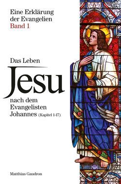 Das Leben Jesu nach dem Evangelisten Johannes (Kapitel 1-17) von Gaudron,  Matthias