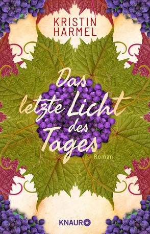 Das letzte Licht des Tages von Dünninger,  Veronika, Harmel,  Kristin